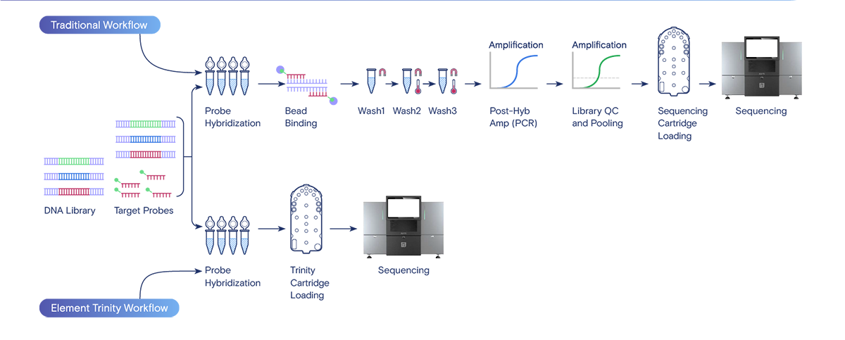 Trinity Workflow