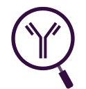 Antibody Discovery