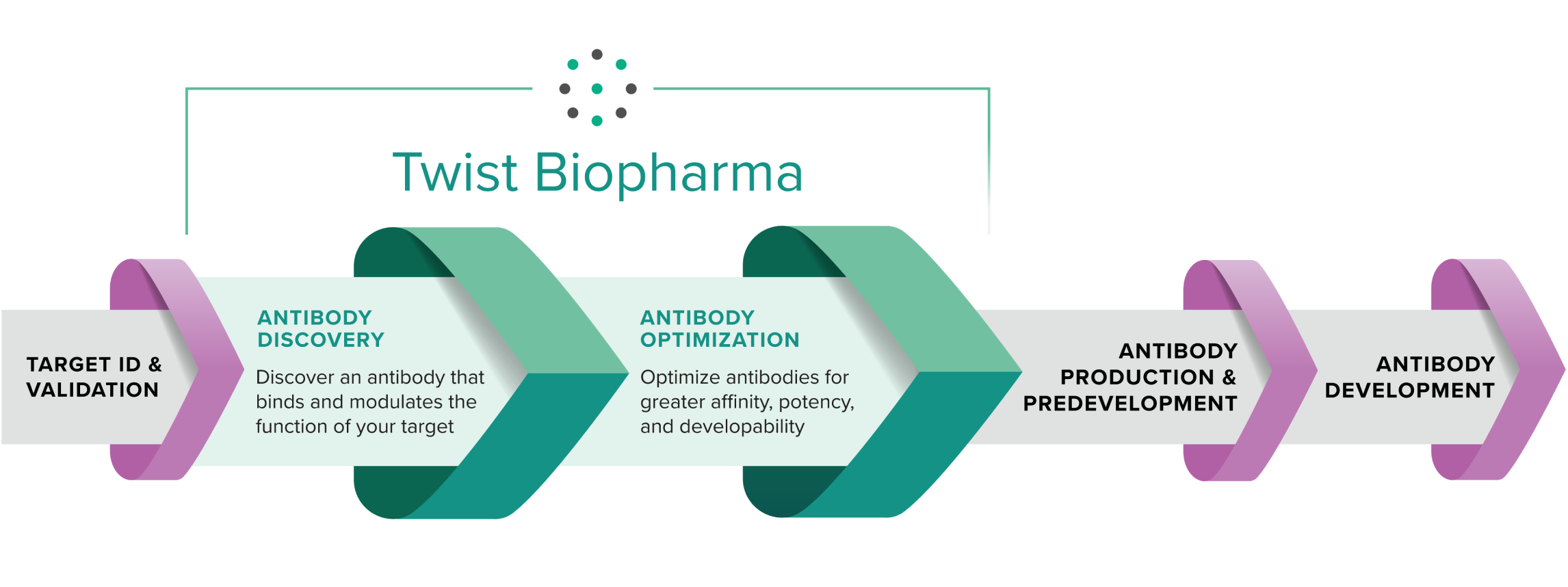 Antibody