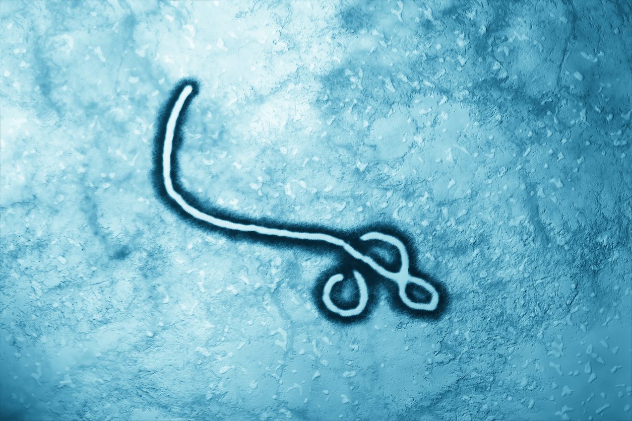 Microscopic image of ebola virus, digitally colored blue